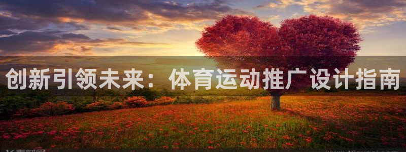 谈球吧体育：创新引领未来：体育运动推广设计指南