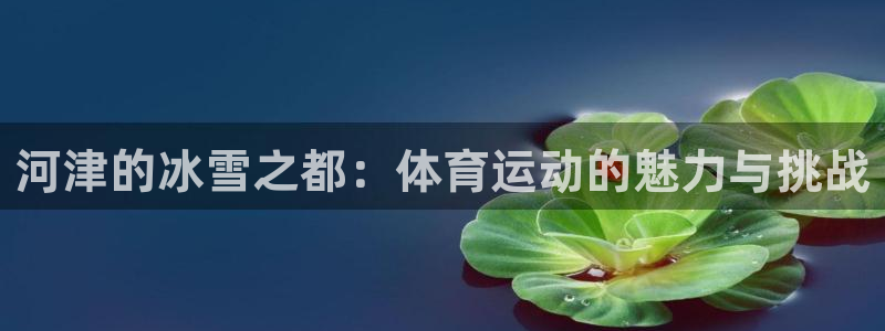 谈球吧：河津的冰雪之都：体育运动的魅力与挑战