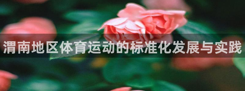 谈球吧：渭南地区体育运动的标准化发展与实践