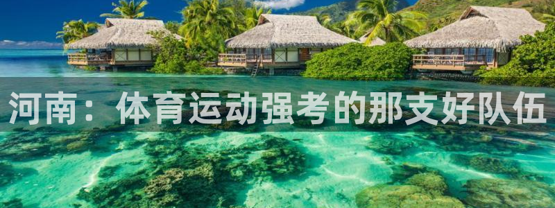 谈球吧体育官网：河南：体育运动强考的那支好队伍