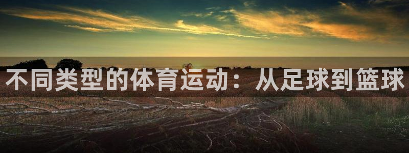 谈球吧体育官网：不同类型的体育运动：从足球到篮球