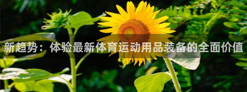 谈球吧体育官网：新趋势：体验最新体育运动用品装备的全面价值