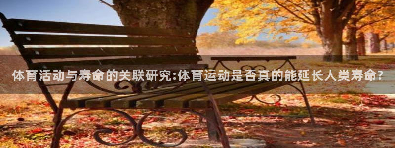 谈球吧：体育活动与寿命的关联研究:体育运动是否真的能延长人类寿命?