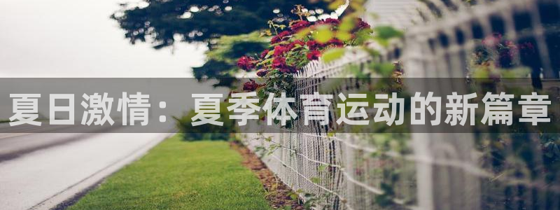 谈球吧：夏日激情：夏季体育运动的新篇章