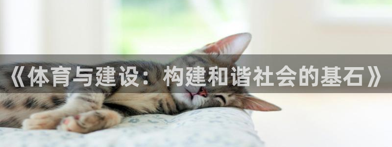 谈球吧：《体育与建设：构建和谐社会的基石》