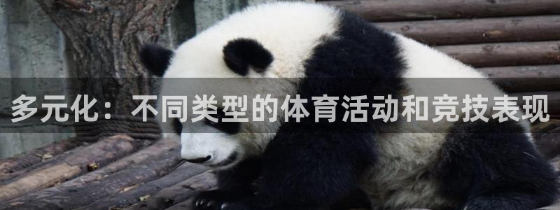 谈球吧：多元化：不同类型的体育活动和竞技表现