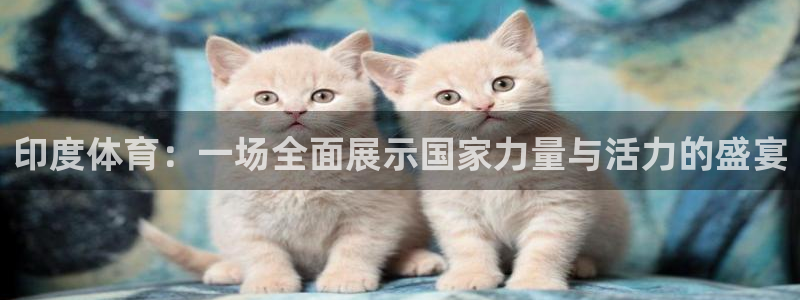 谈球吧：印度体育：一场全面展示国家力量与活力的盛宴